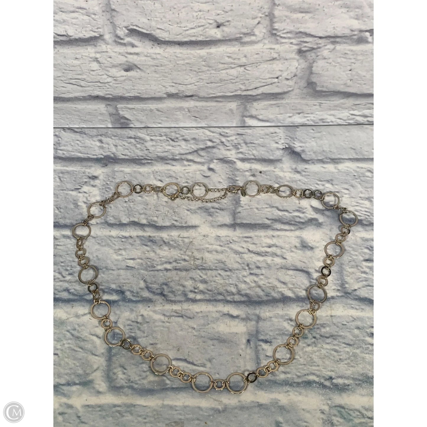 Necklace Chain By Chicos