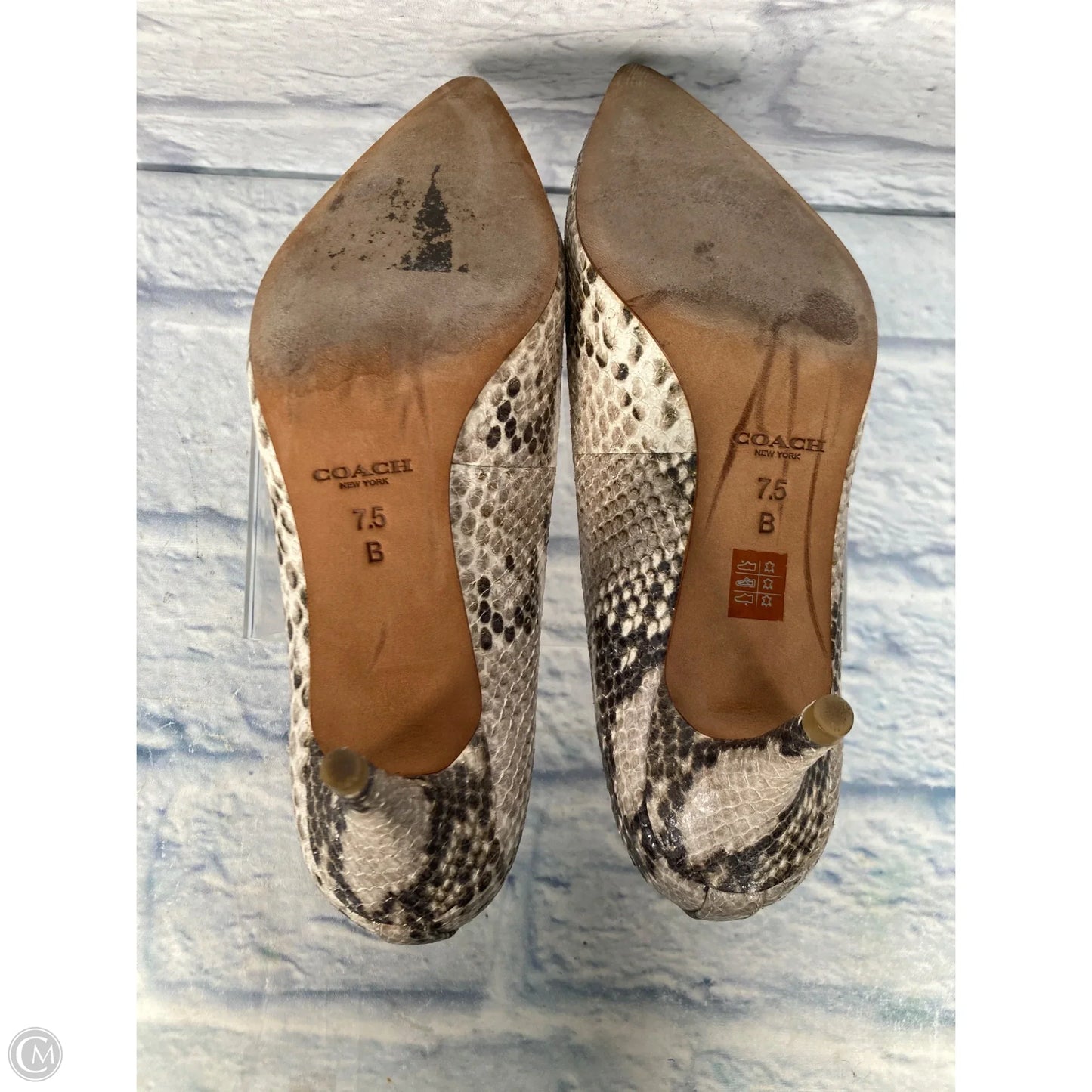 Shoes Designer By Coach In Snakeskin Print, Size: 7.5