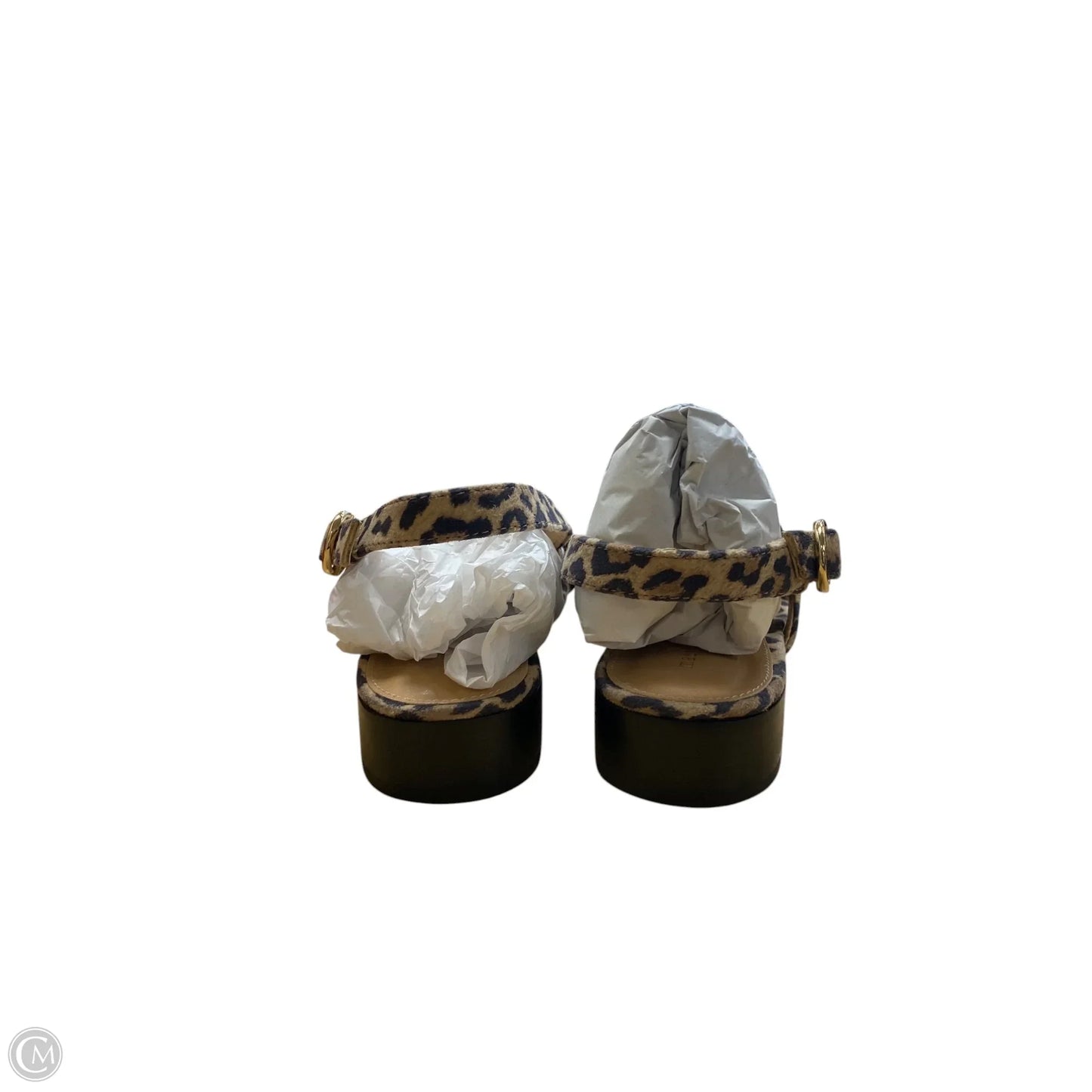 Shoes Heels Block By Maeve In Animal Print, Size: 6