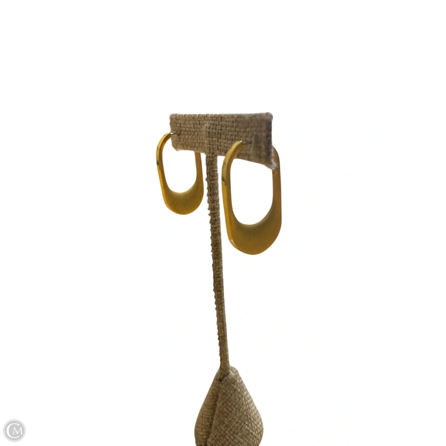 Earrings Hoop By Cma