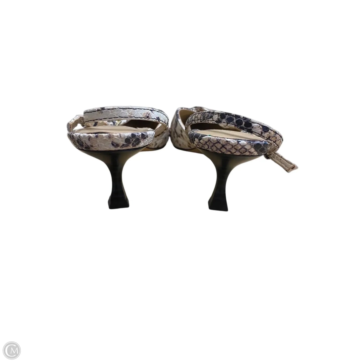 Shoes Heels Kitten By Ann Taylor In Animal Print, Size: 8