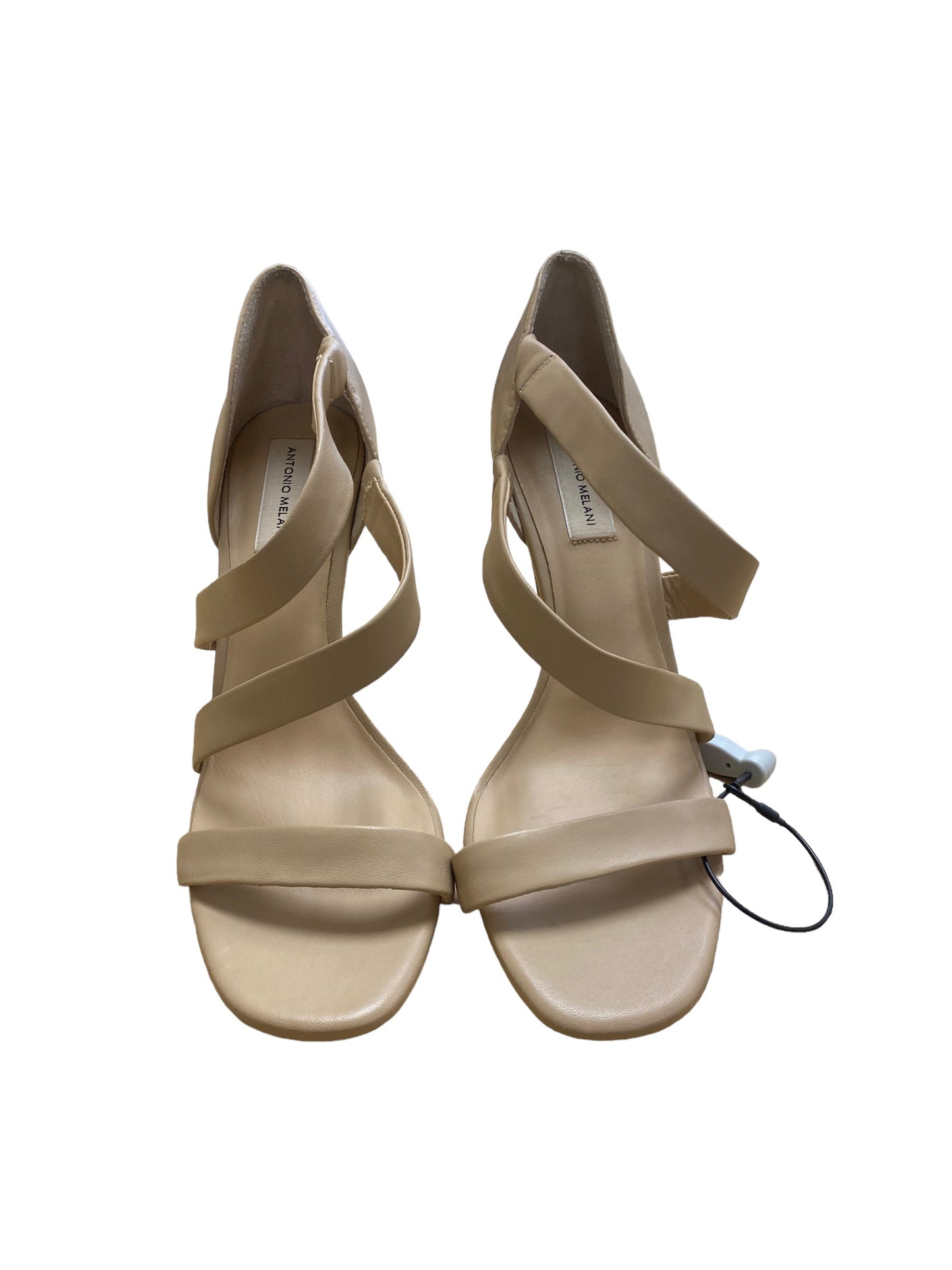 Shoes Heels Stiletto By Antonio Melani  Size: 11