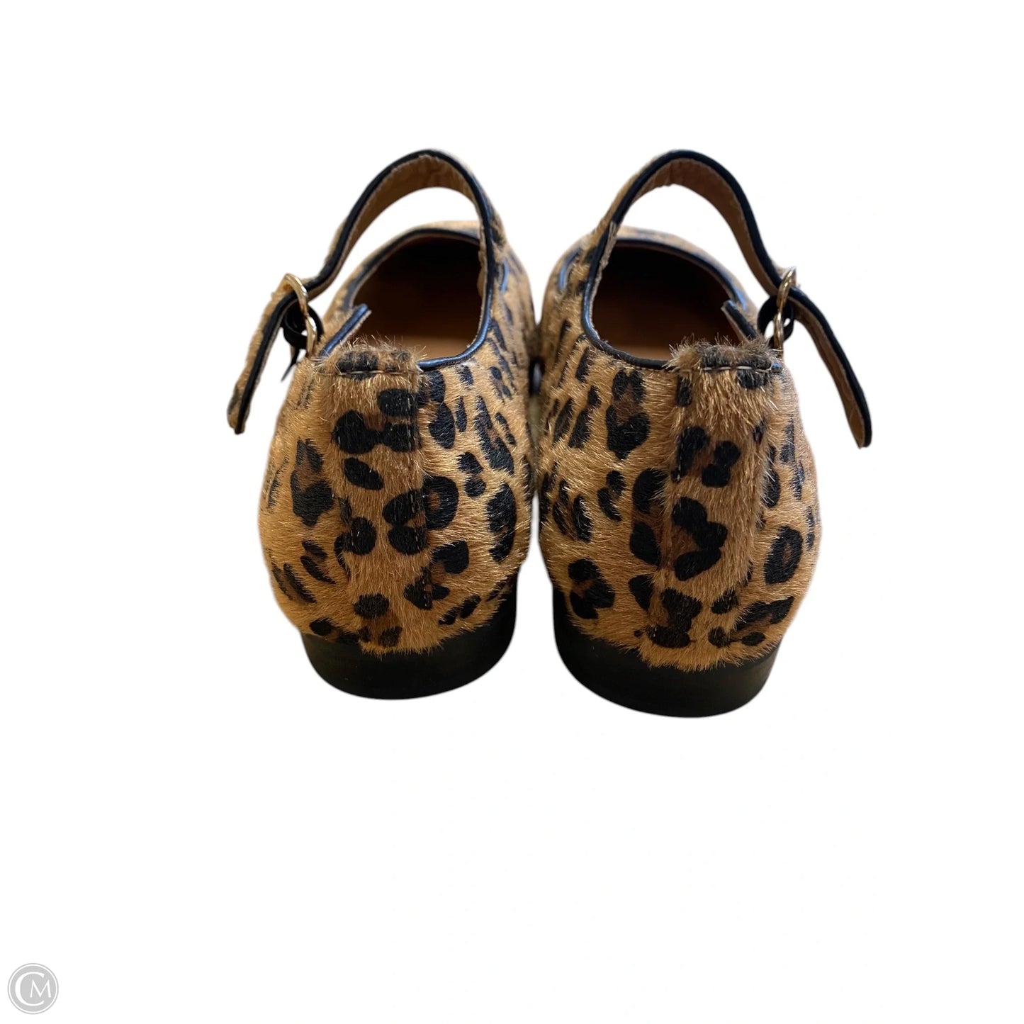 Shoes Flats By Clothes Mentor In Animal Print, Size: 8