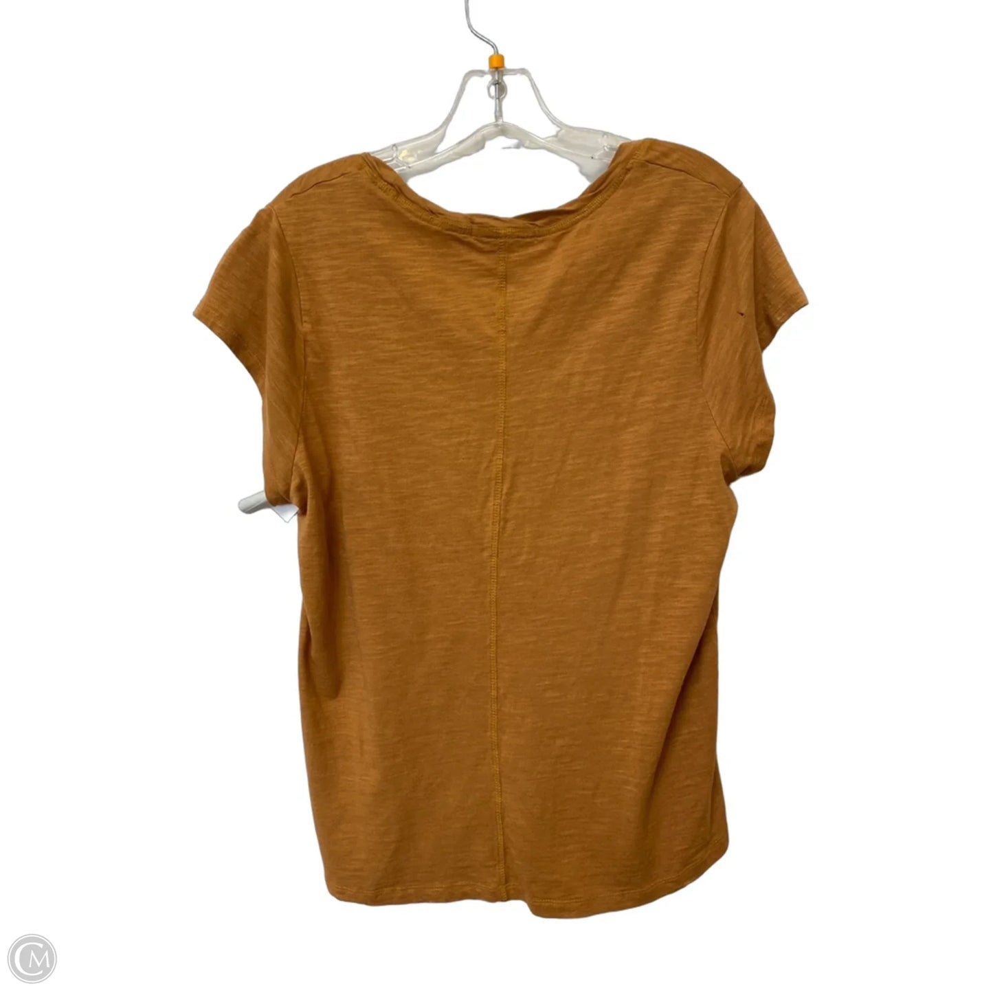 Top Short Sleeve By Sanctuary In Orange, Size: Xl