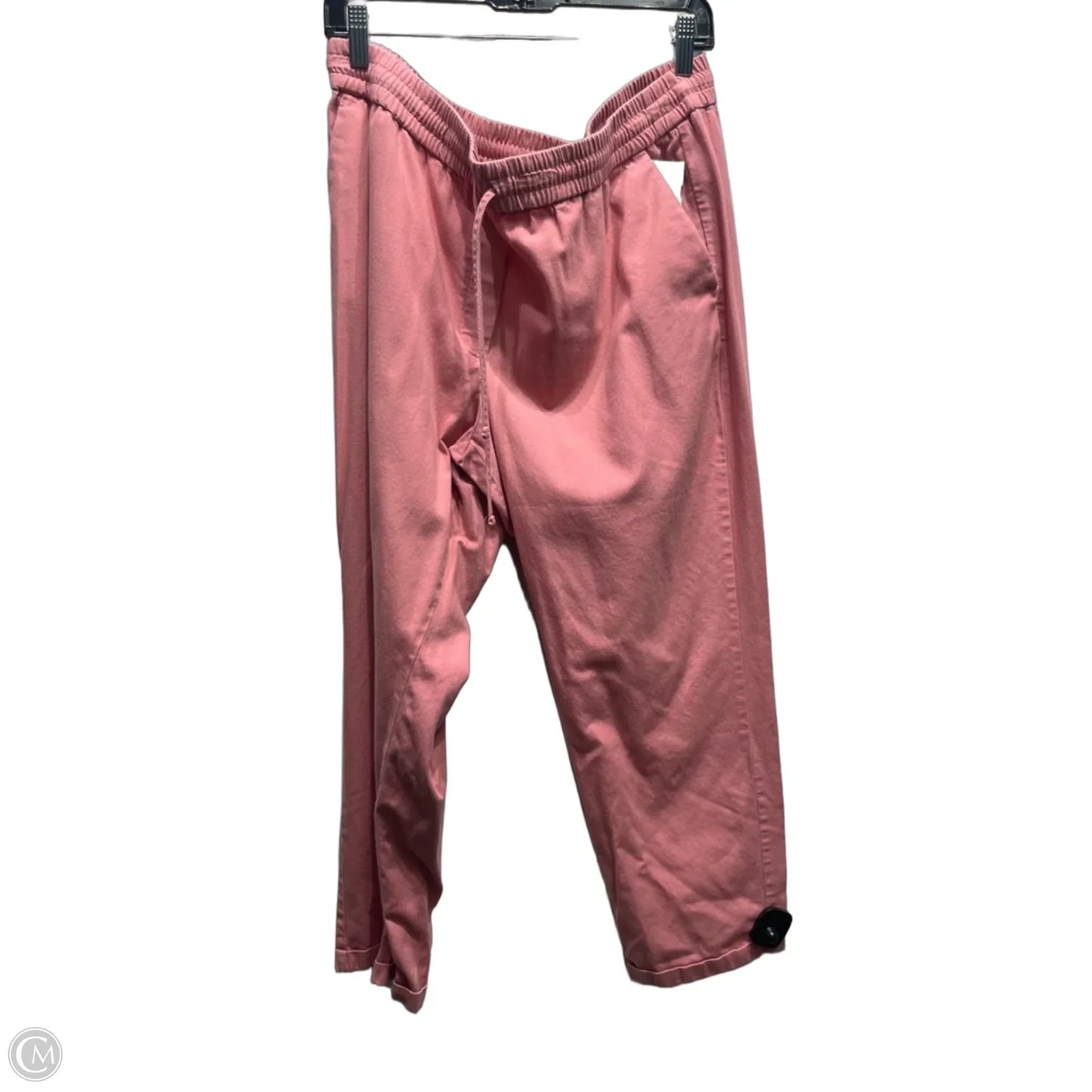 Pants Other By J. Crew In Mauve, Size: 16