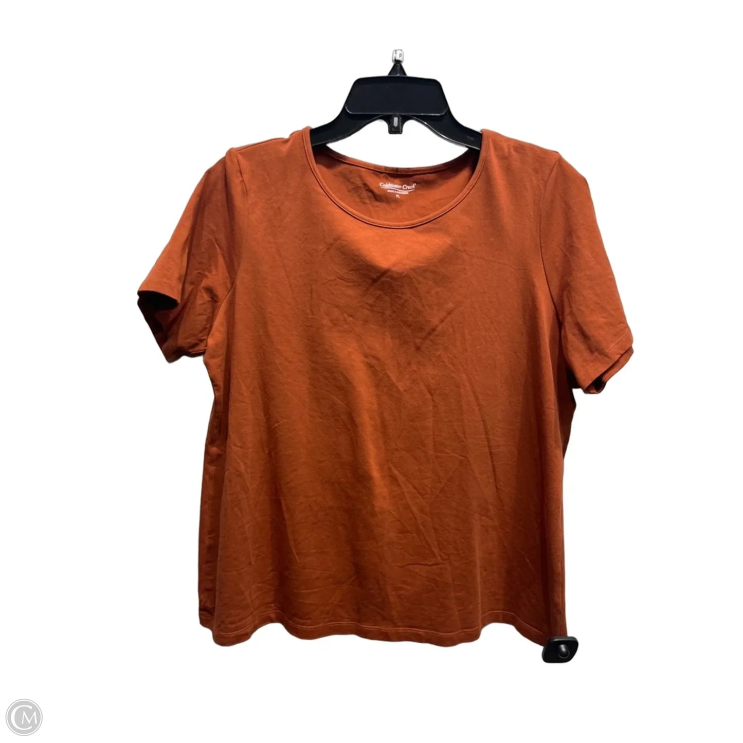 Top Short Sleeve Basic By Coldwater Creek In Tan, Size: Lp