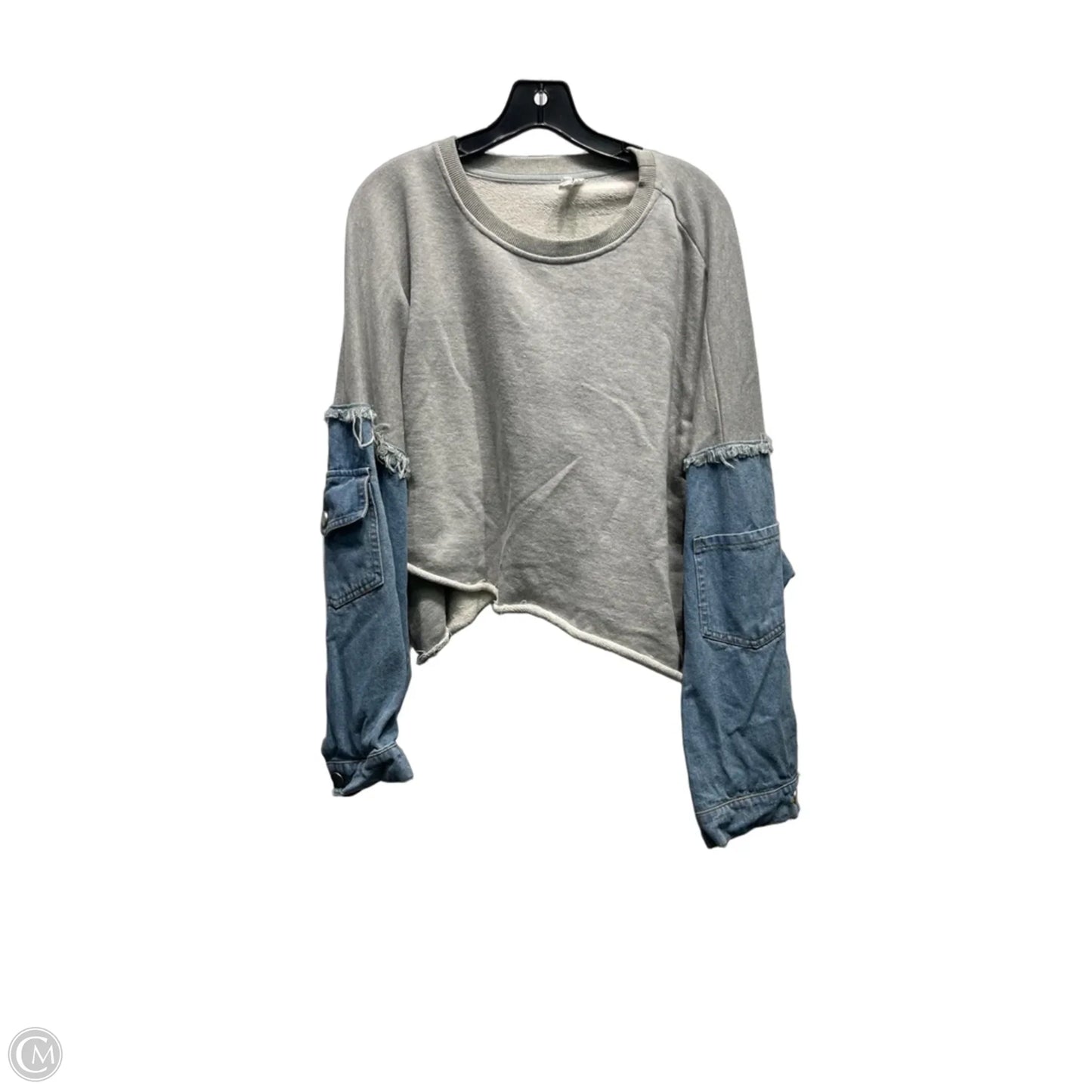 Top Long Sleeve By Flawless In Blue & Grey, Size: M