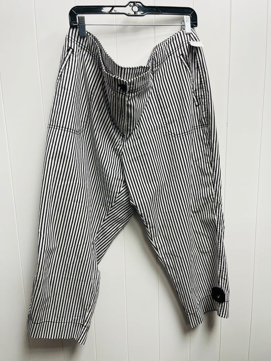Pants Other By Chicos  Size: 1x