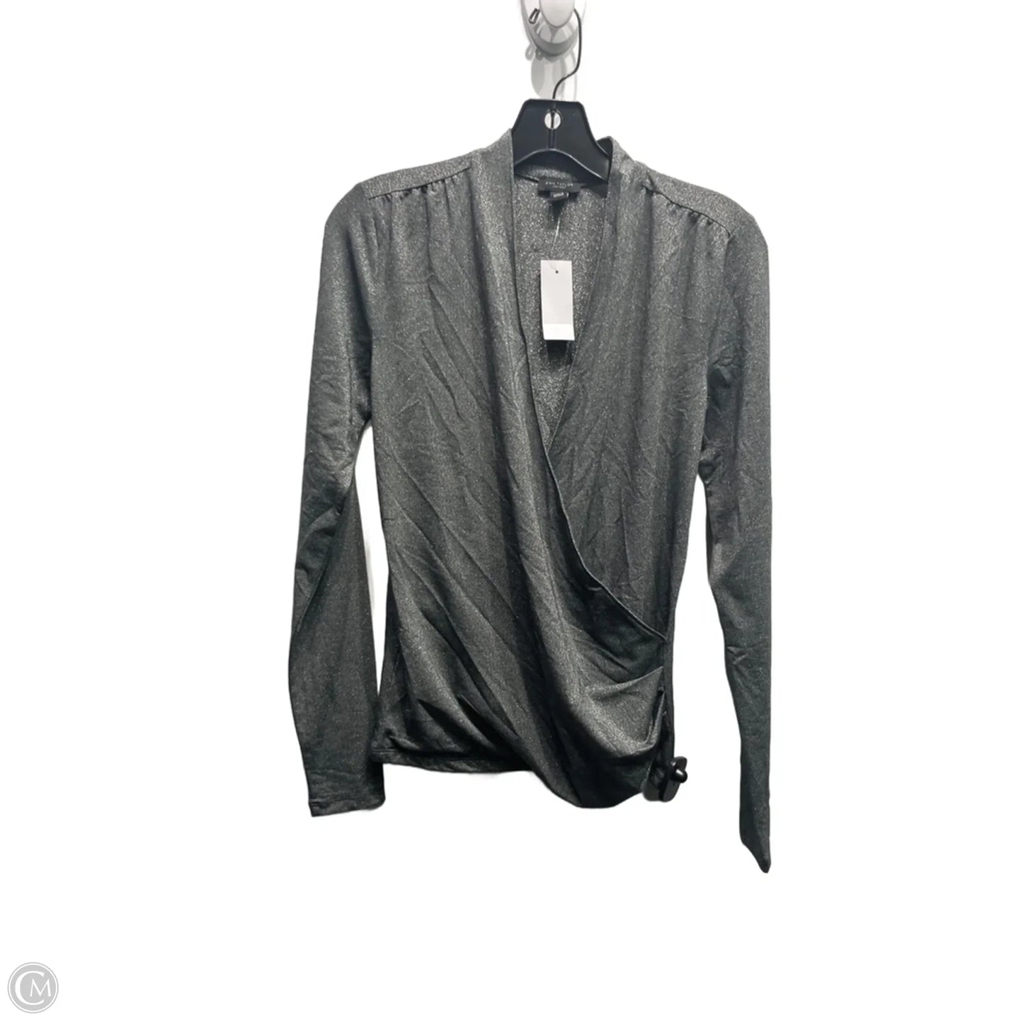 Top Long Sleeve By Ann Taylor In Silver, Size: Xs