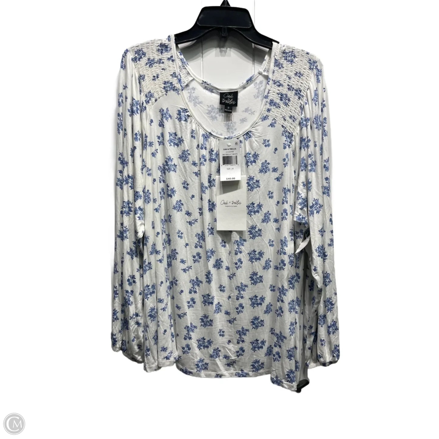Top Long Sleeve By Clothes Mentor In Blue & White, Size: 2x