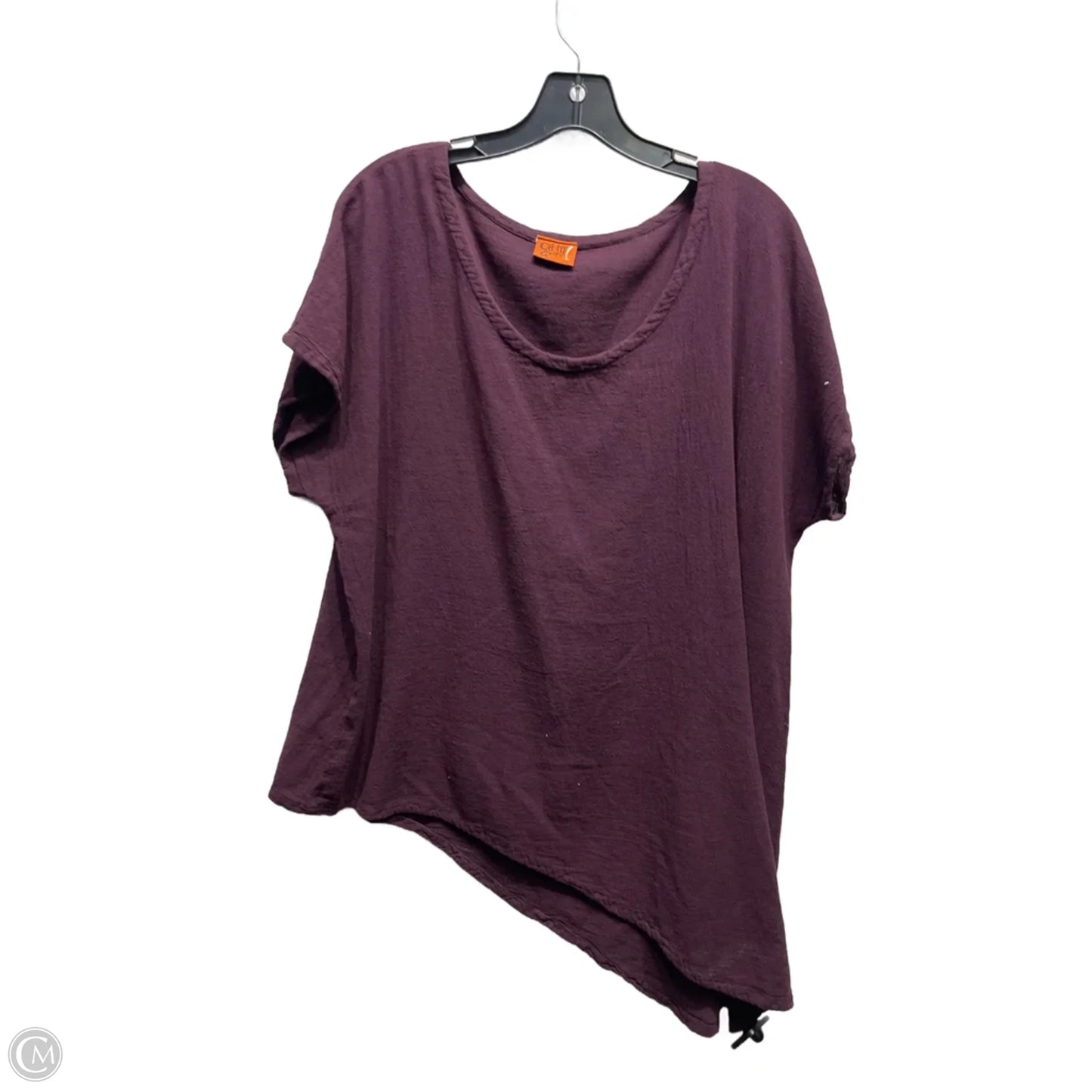 Top Short Sleeve By Oh My Gauze In Purple, Size: 2x