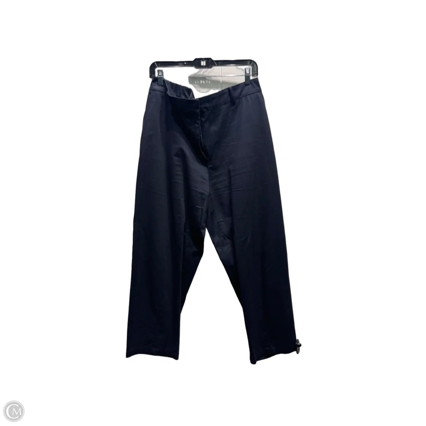 Pants Other By Zara In Navy, Size: Xl