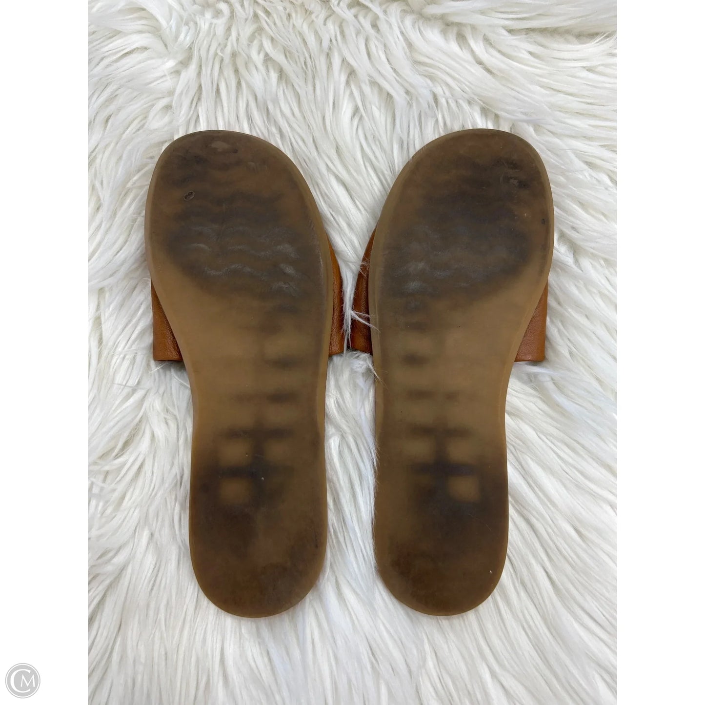Sandals Flats By Steve Madden In Brown, Size: 9