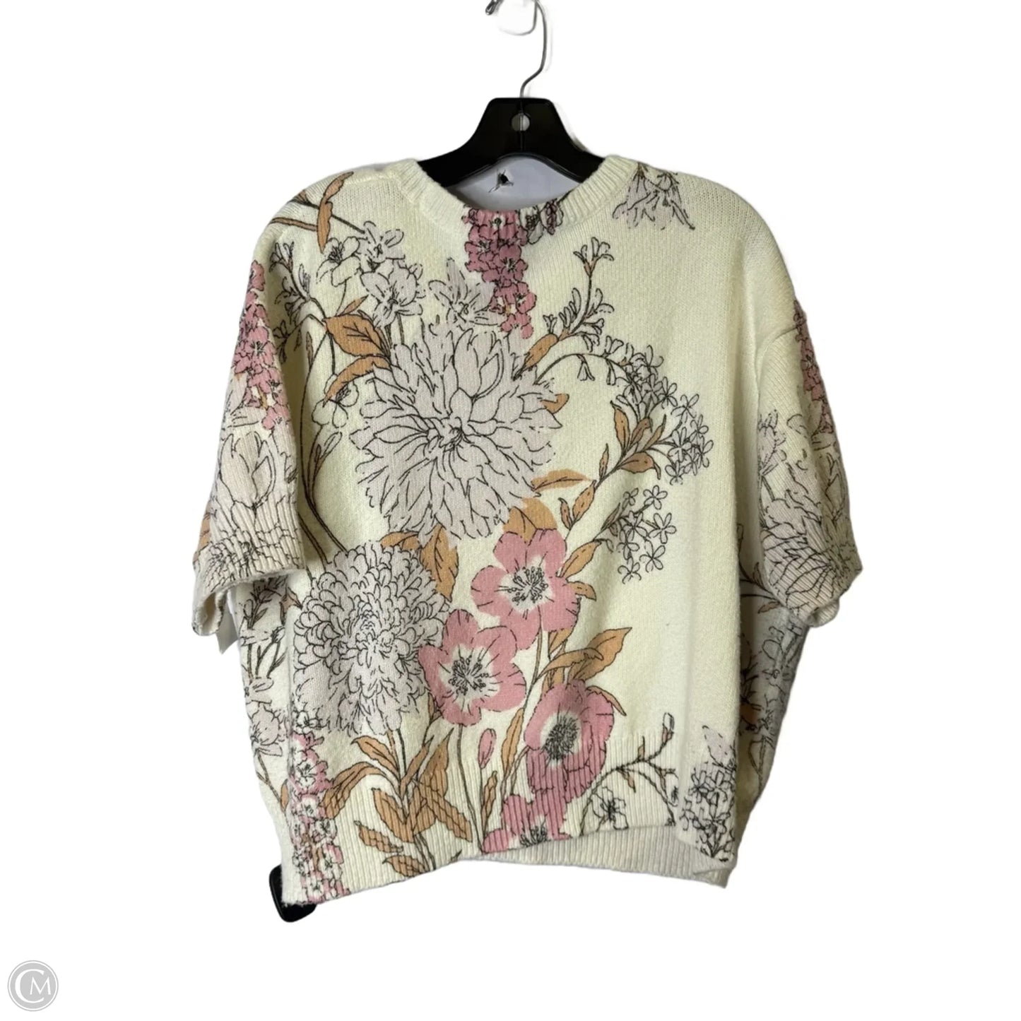 Sweater Short Sleeve By Ann Taylor In Cream, Size: Xl