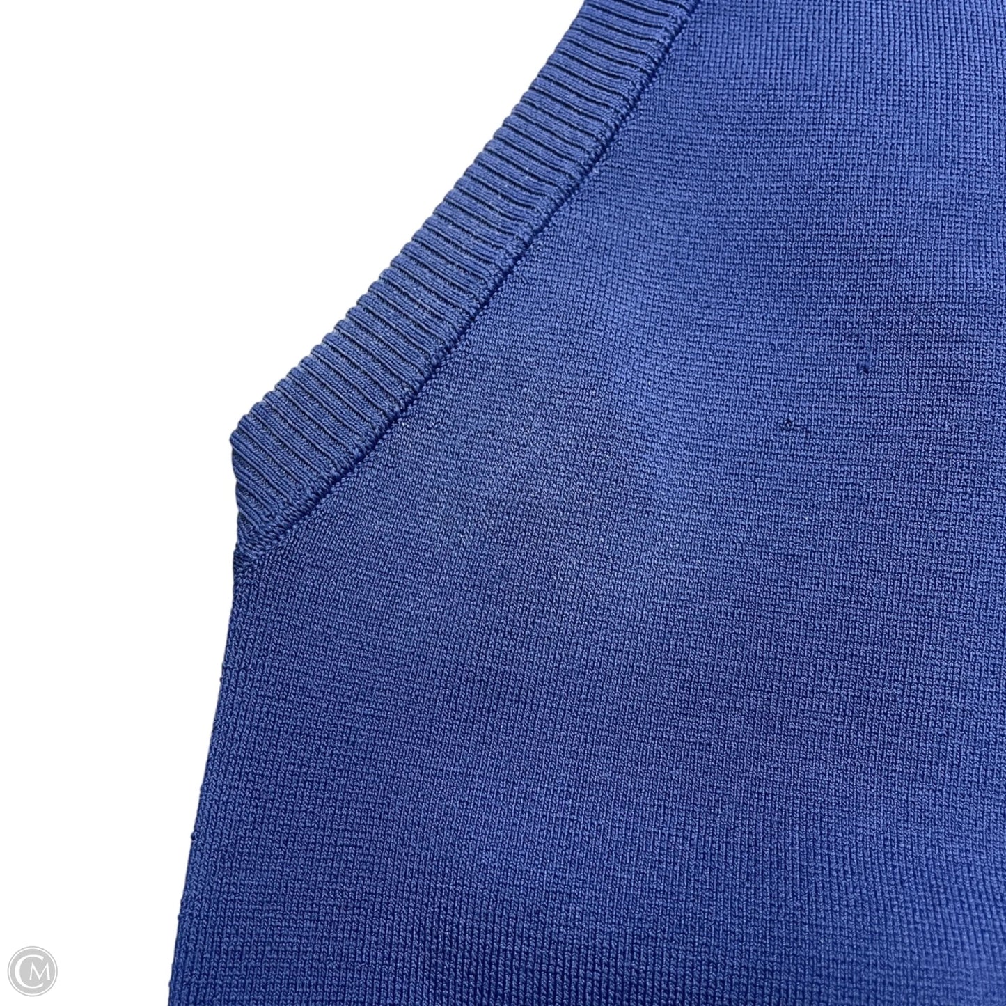 Top Sleeveless Designer By Alice + Olivia In Blue, Size: L