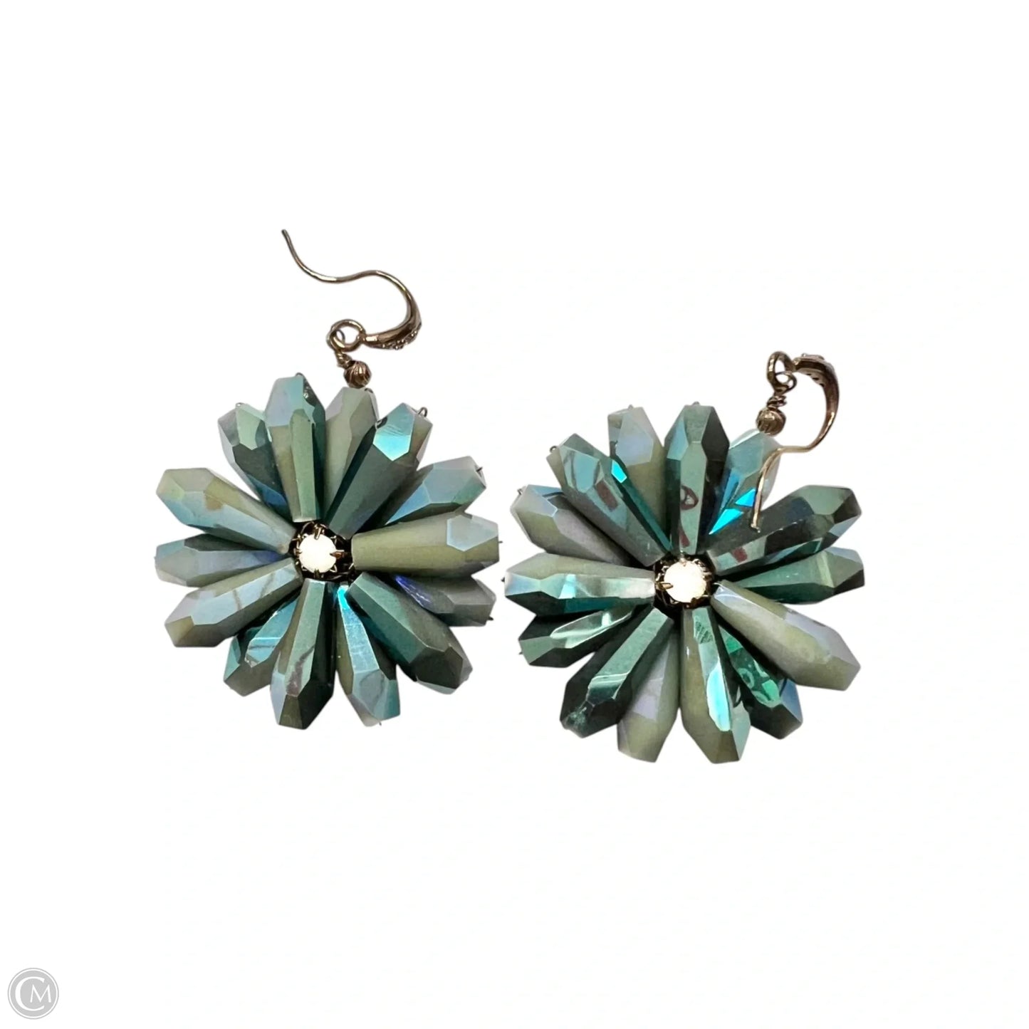 Earrings Other