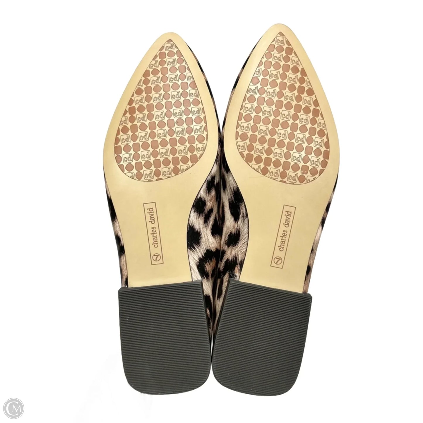 Shoes Flats By Charles David In Leopard Print, Size: 7