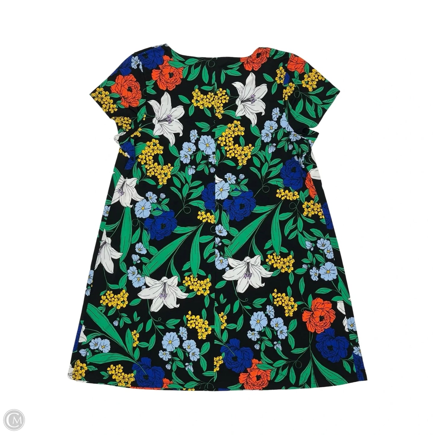 Dress Casual Short By Msk In Floral Print, Size: 3x