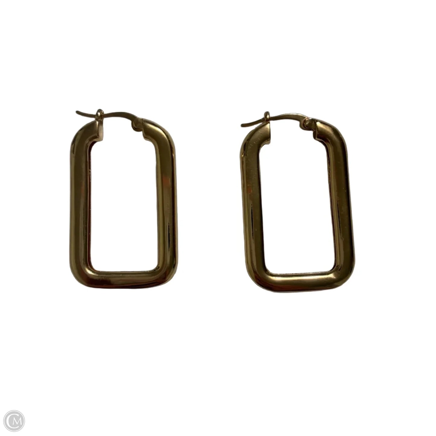Earrings Hoop By Clothes Mentor