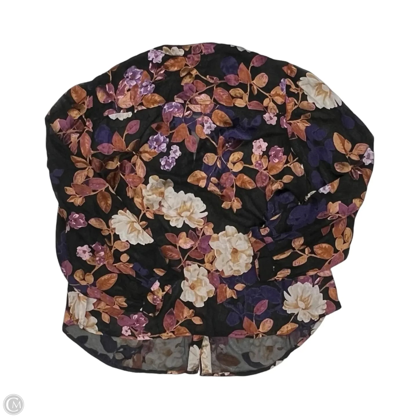 Blouse Long Sleeve By Chicos In Floral Print, Size: L
