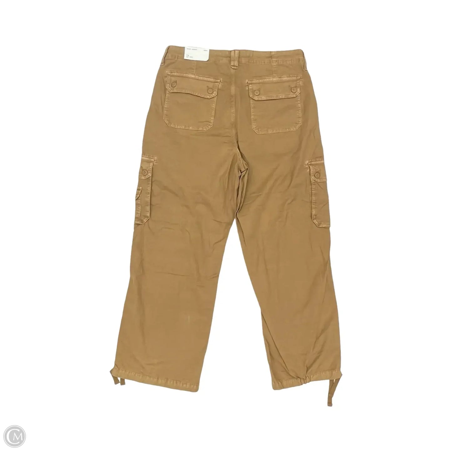 Pants Cargo & Utility By American Eagle In Brown, Size: 16