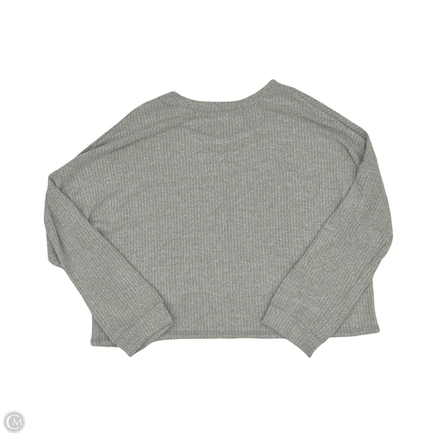 Top Long Sleeve By Blumin In Grey, Size: 2x