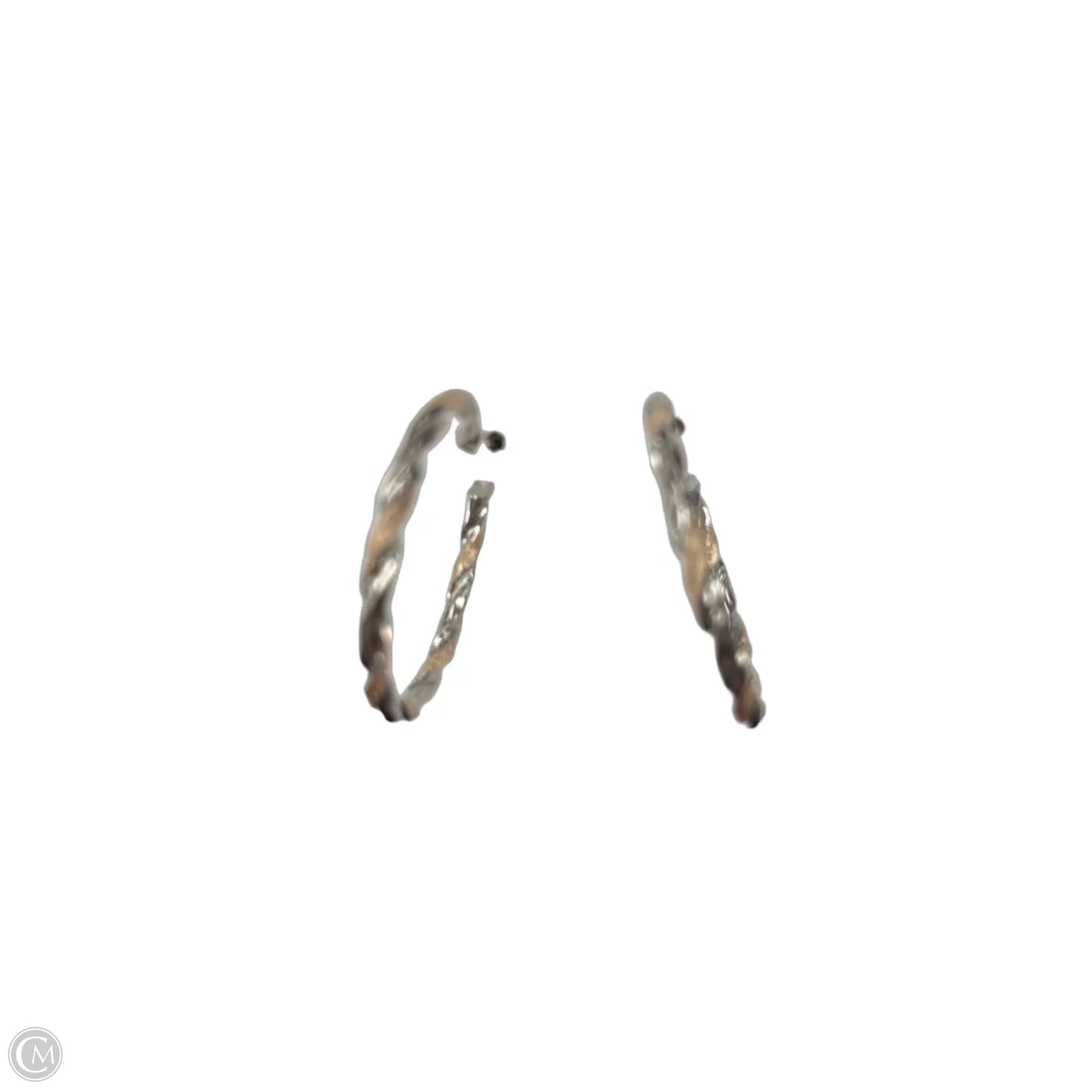 Earrings Hoop By Cme