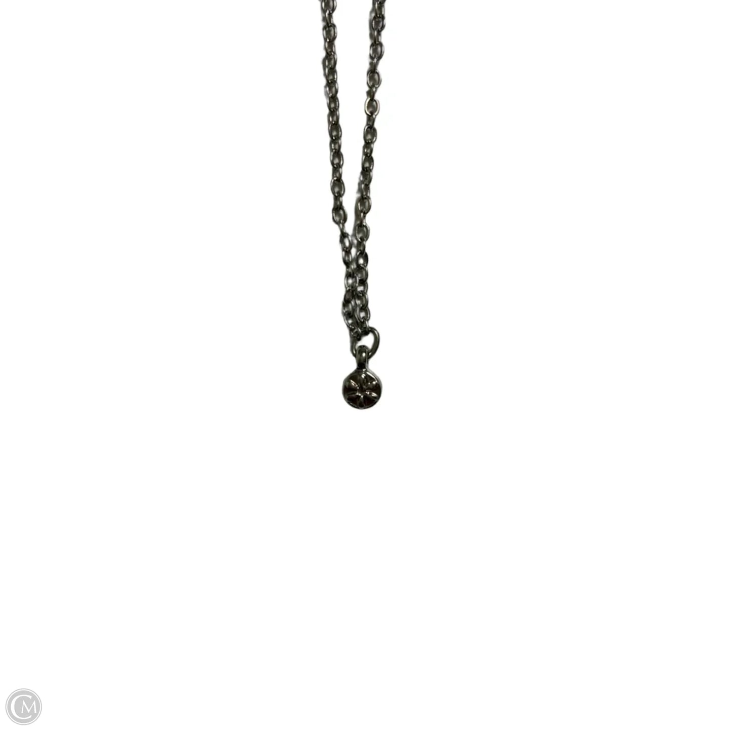 Necklace Chain By Clothes Mentor