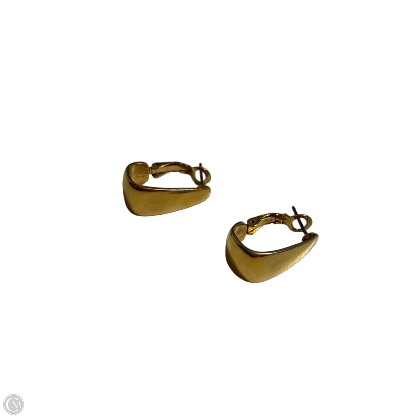 Earrings Hoop By Premier Designs