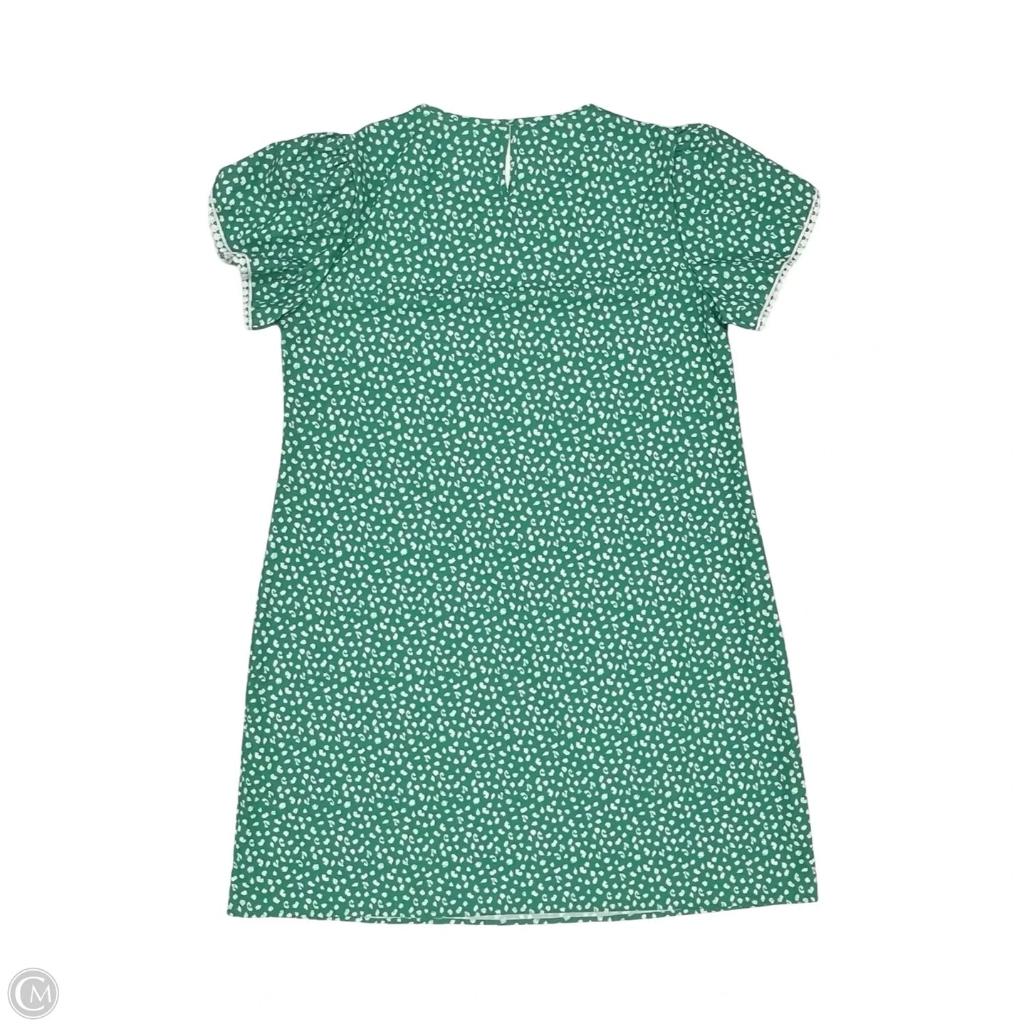 Dress Casual Short By Clothes Mentor In Green & White, Size: Xl