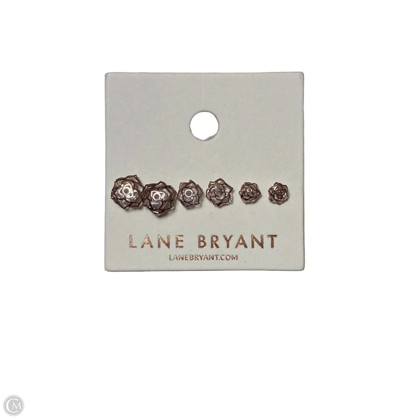 Earrings Stud By Lane Bryant, Size: 03 Piece Set