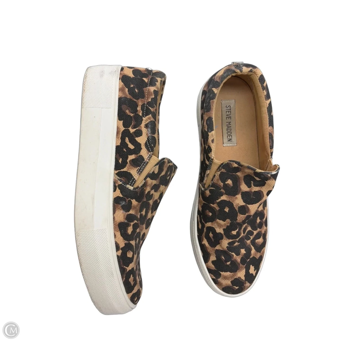 Shoes Flats By Steve Madden In Leopard Print, Size: 7.5