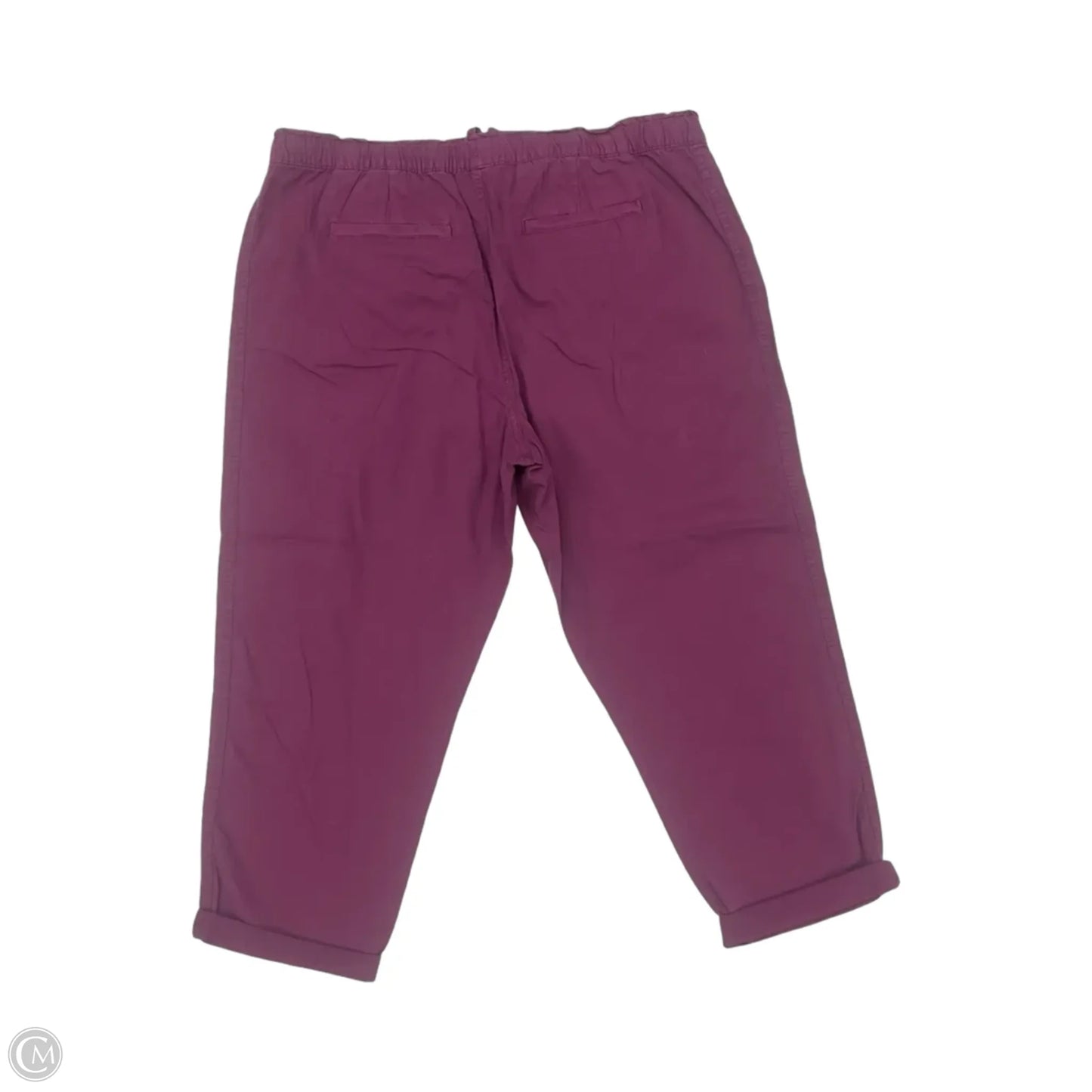 Pants Chinos & Khakis By Sonoma In Purple, Size: Xl