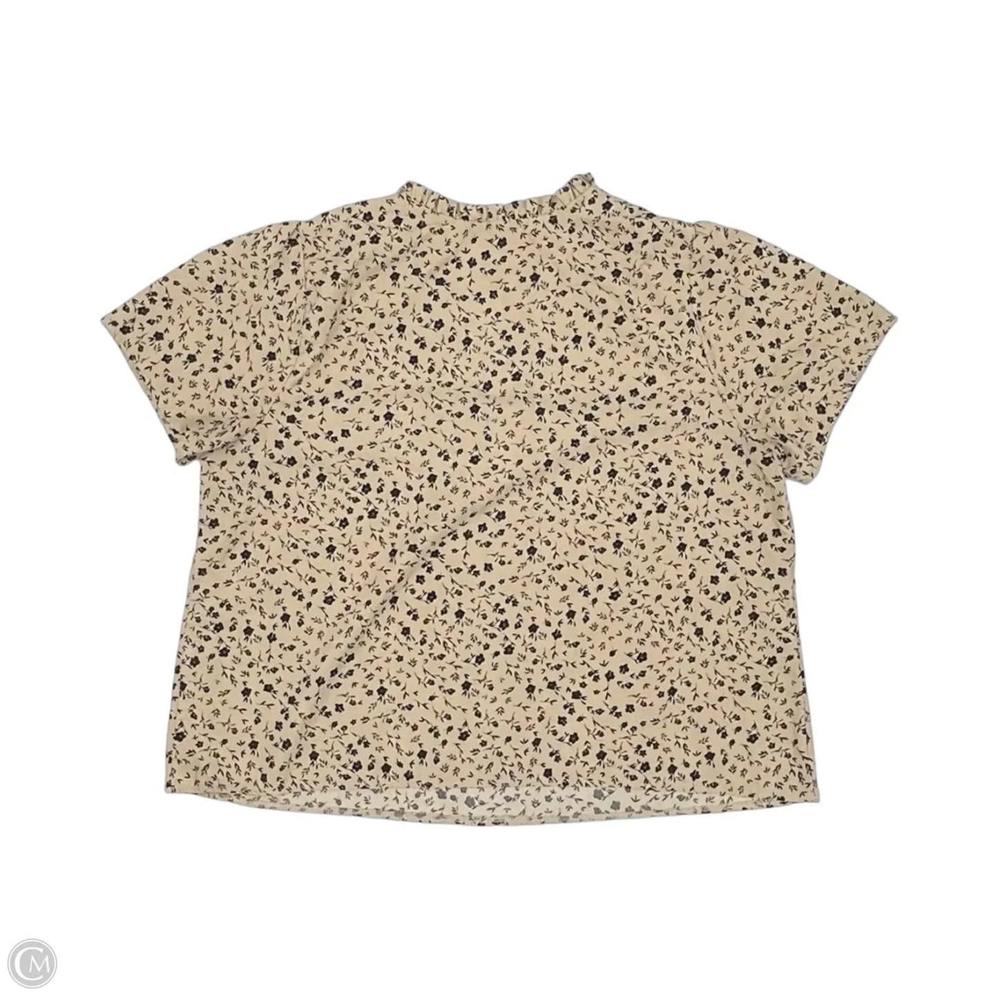 Blouse Short Sleeve By Emery Rose In Black & Tan, Size: 3x