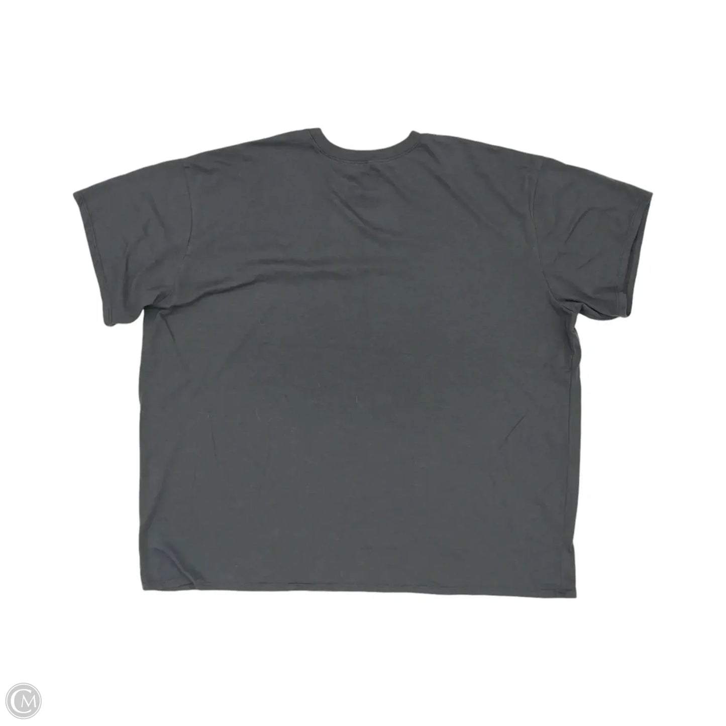 Top Short Sleeve By Clothes Mentor In Grey, Size: 2x