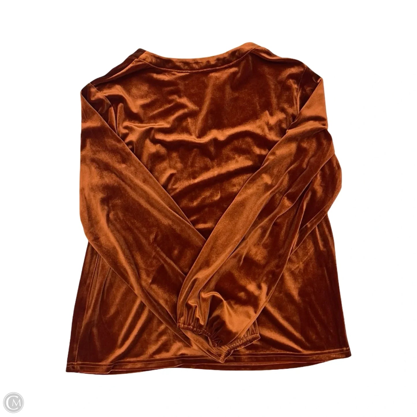 Blouse Long Sleeve By Clothes Mentor In Orange, Size: L