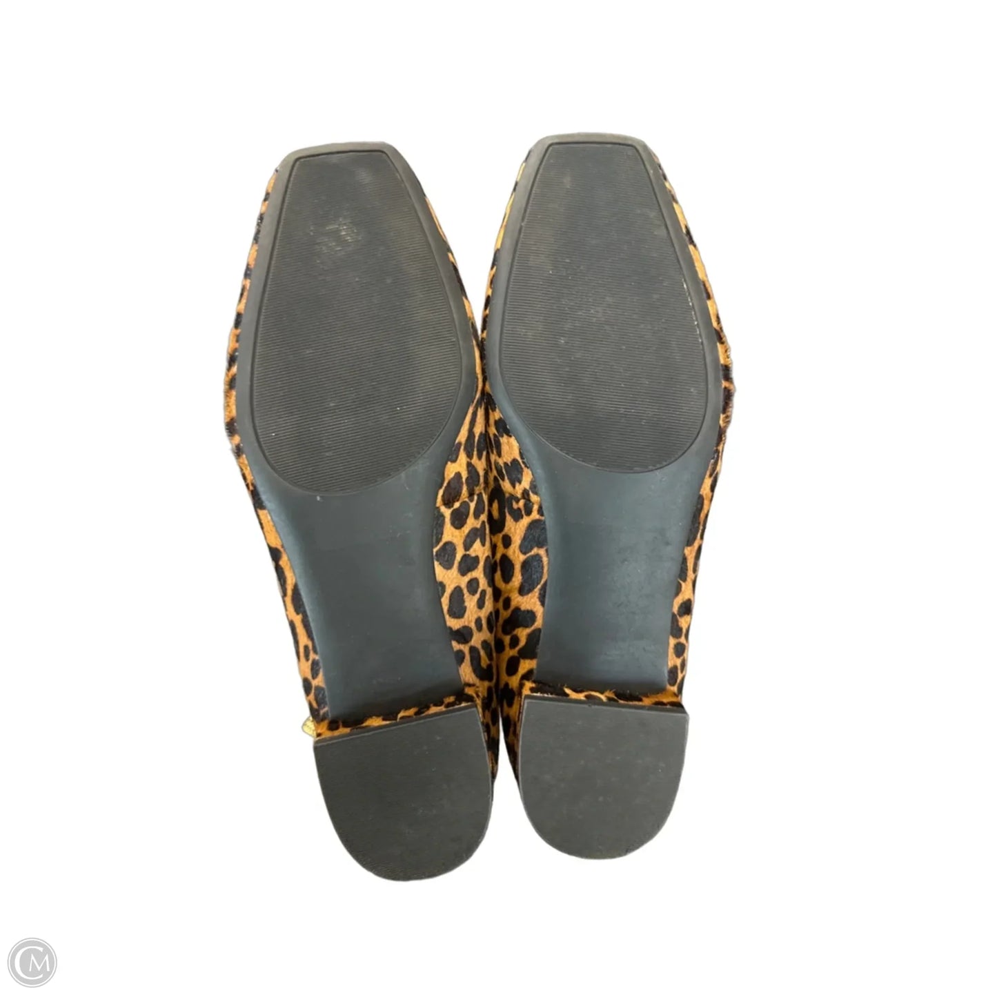 Shoes Heels Block By Nordstrom In Leopard Print, Size: 8.5
