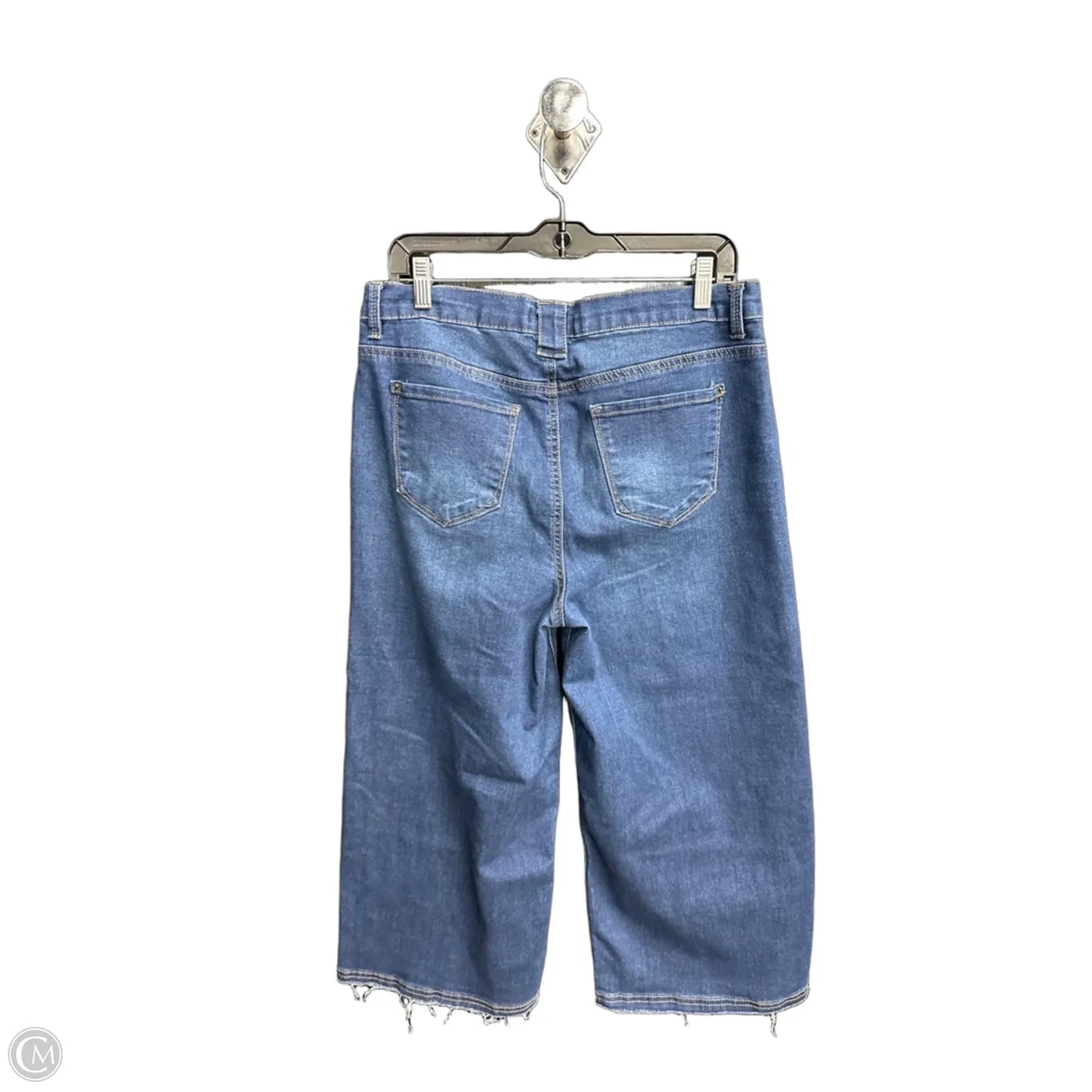 Jeans Wide Leg By Curve Appeal In Blue Denim, Size: 14