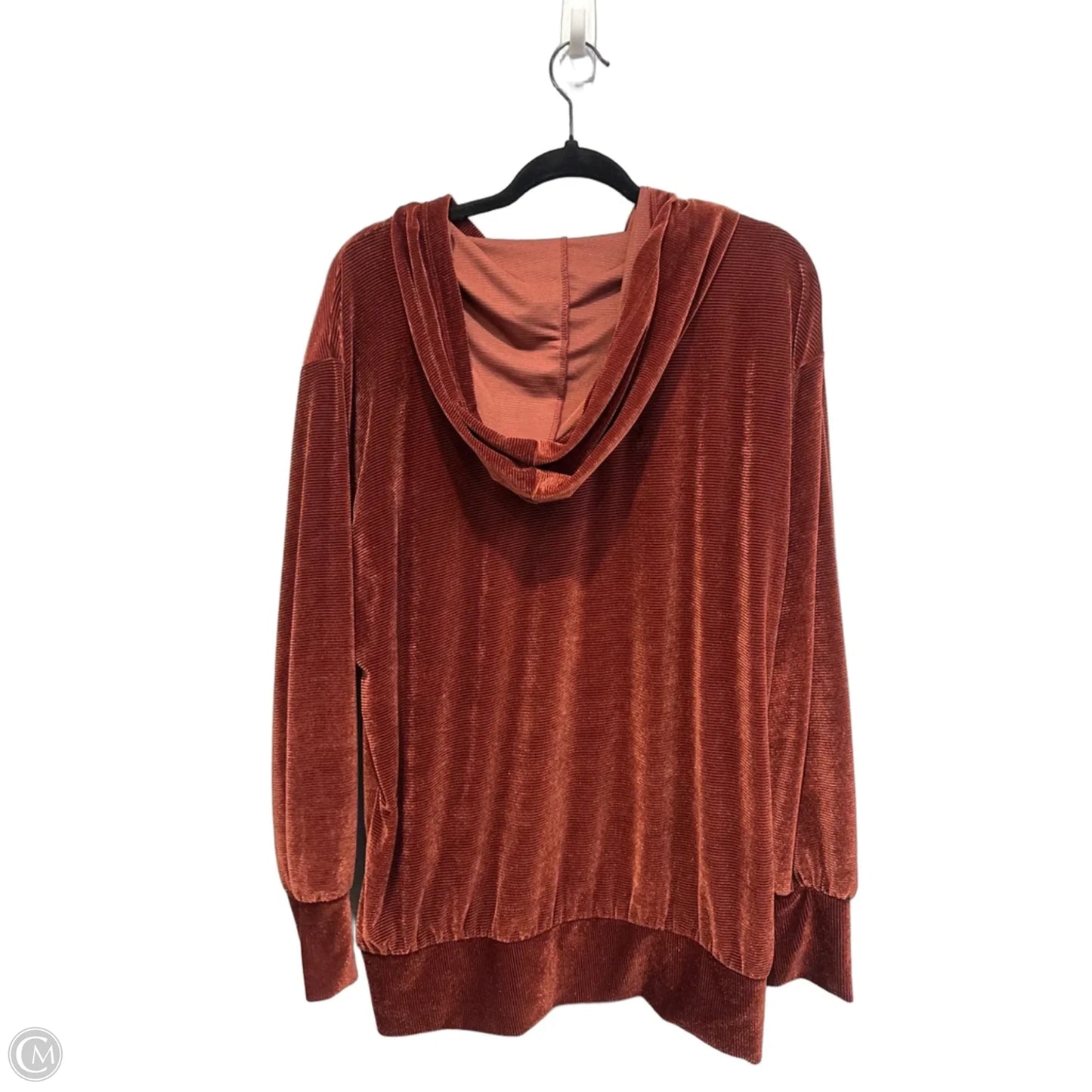 Sweatshirt Hoodie By Earthbound In Brown, Size: L