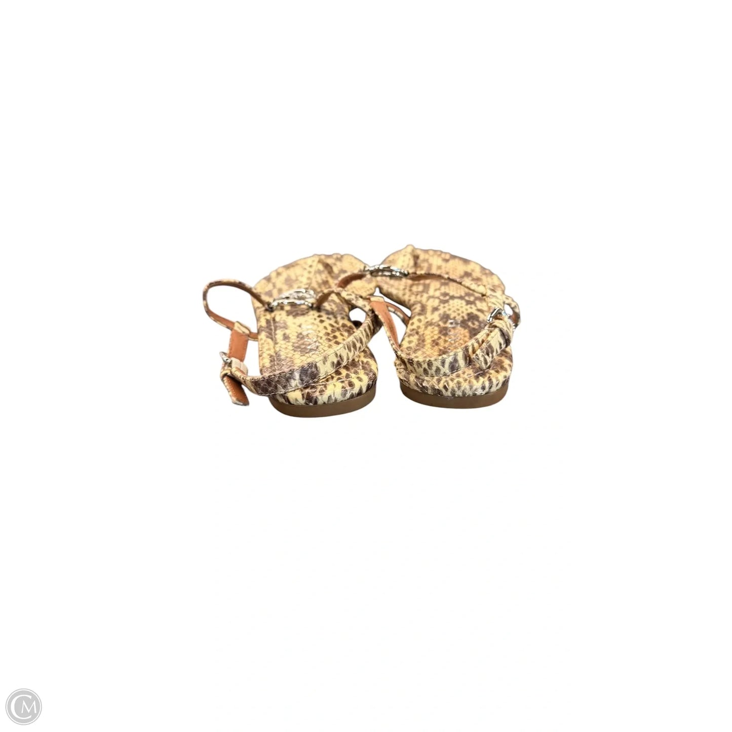 Sandals Designer By Coach In Snakeskin Print, Size: 7.5