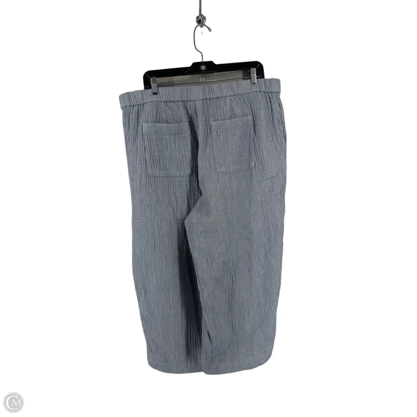 Pants Linen By J. Jill In Blue, Size: Xlp