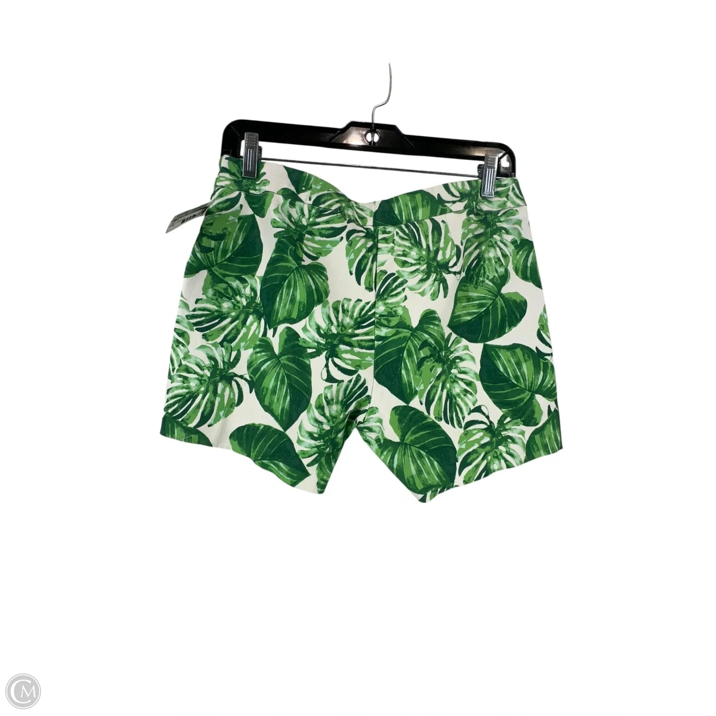 Shorts By Clothes Mentor In Green & White, Size: S