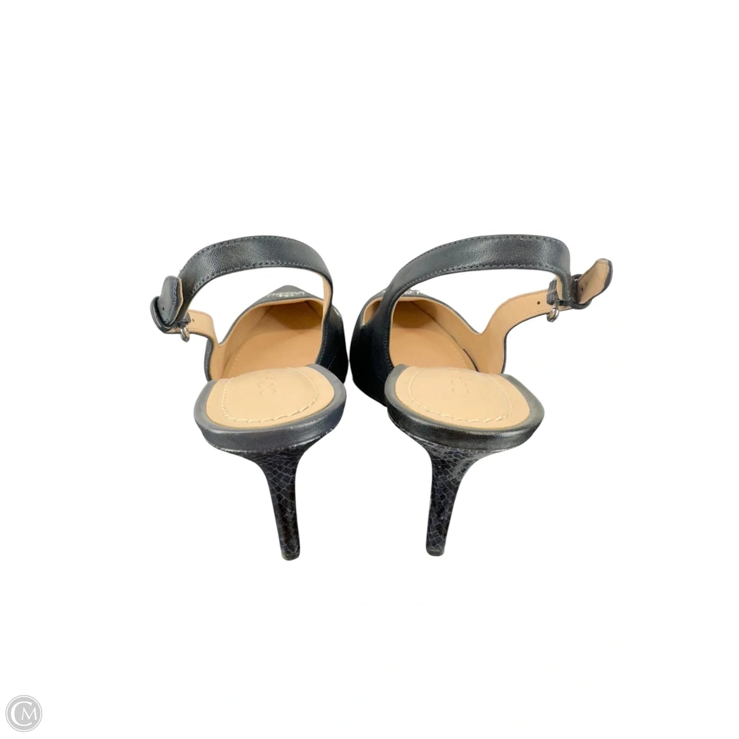 Sandals Designer By Coach In Black, Size: 8.5