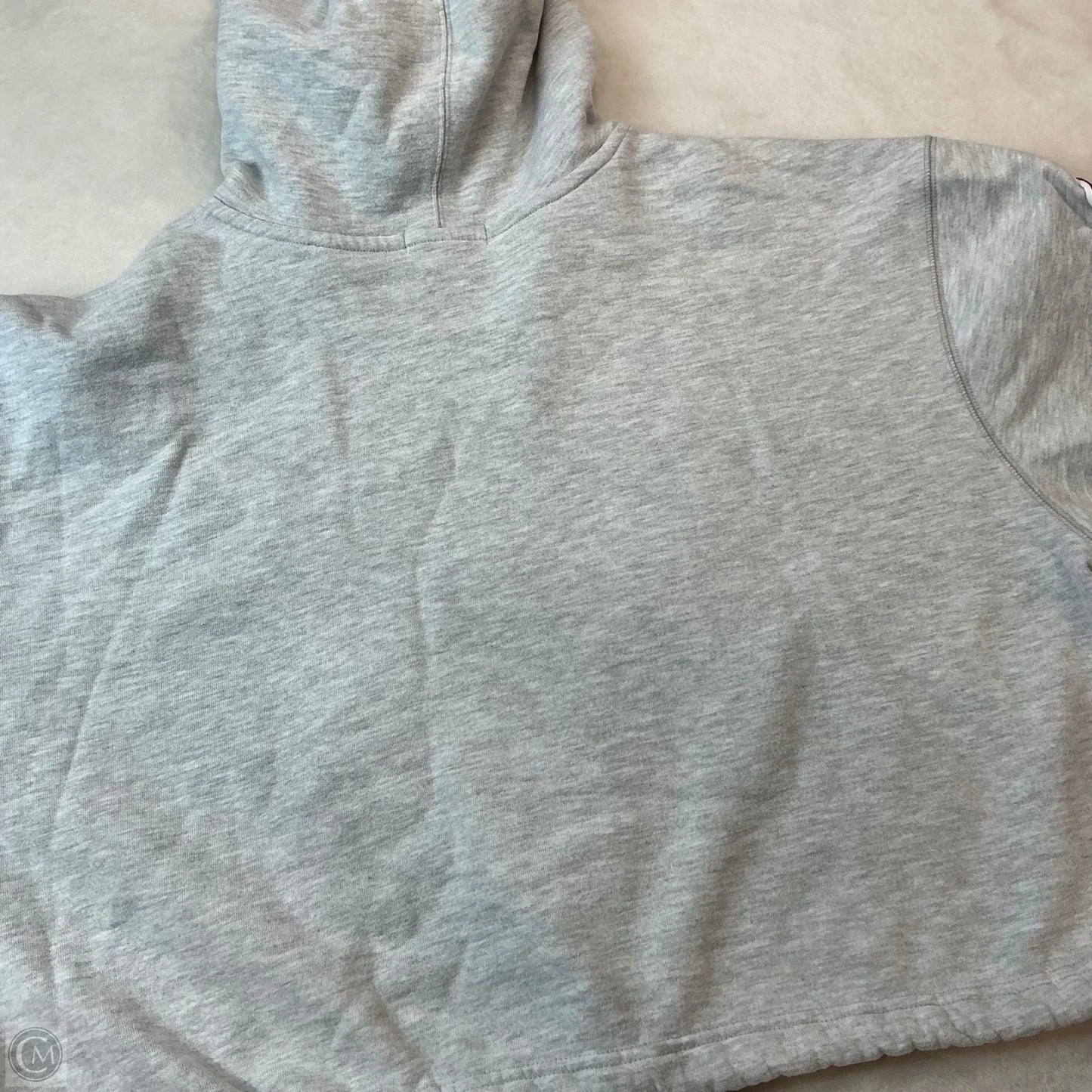 Sweatshirt Hoodie By Clothes Mentor In Grey, Size: L
