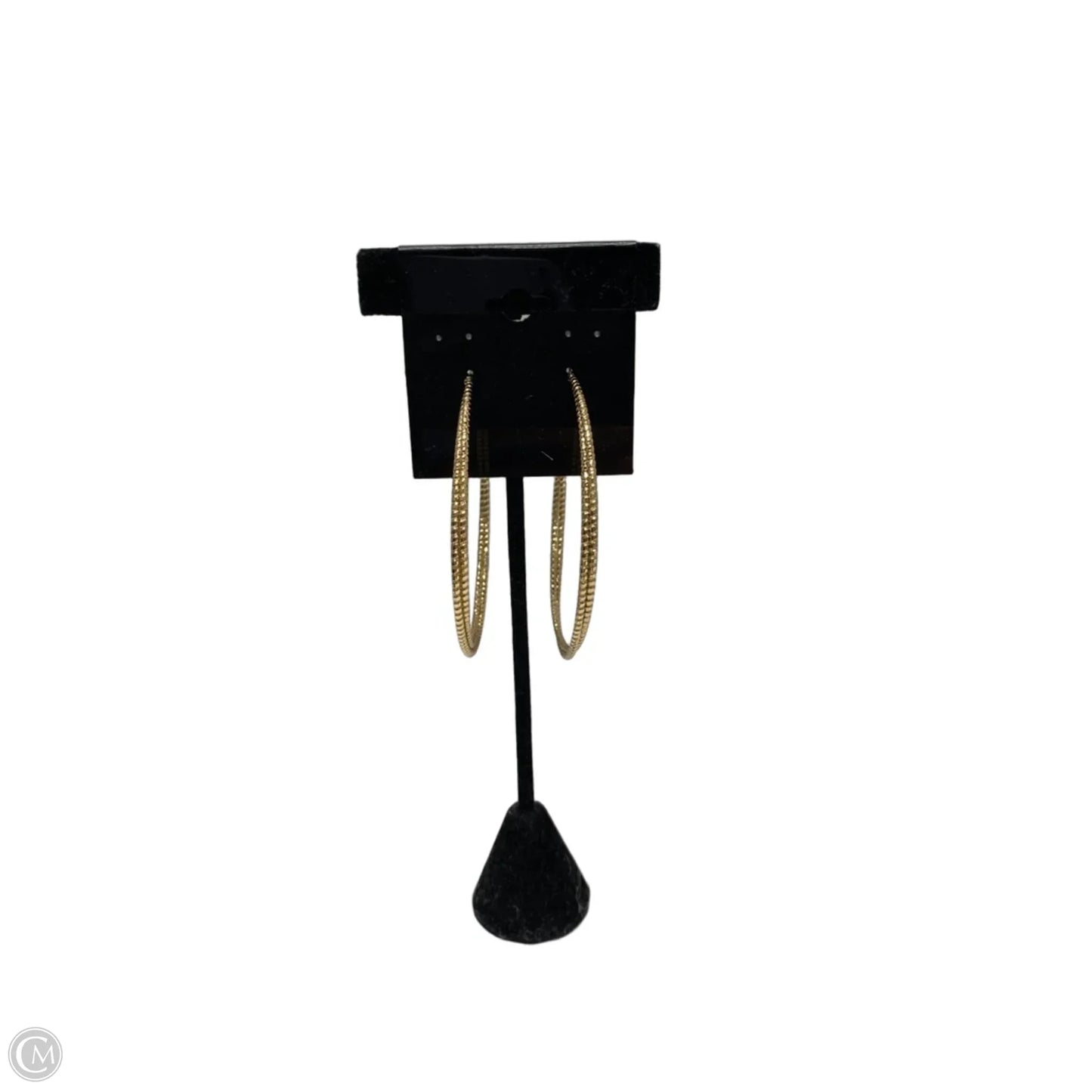 Earrings Hoop