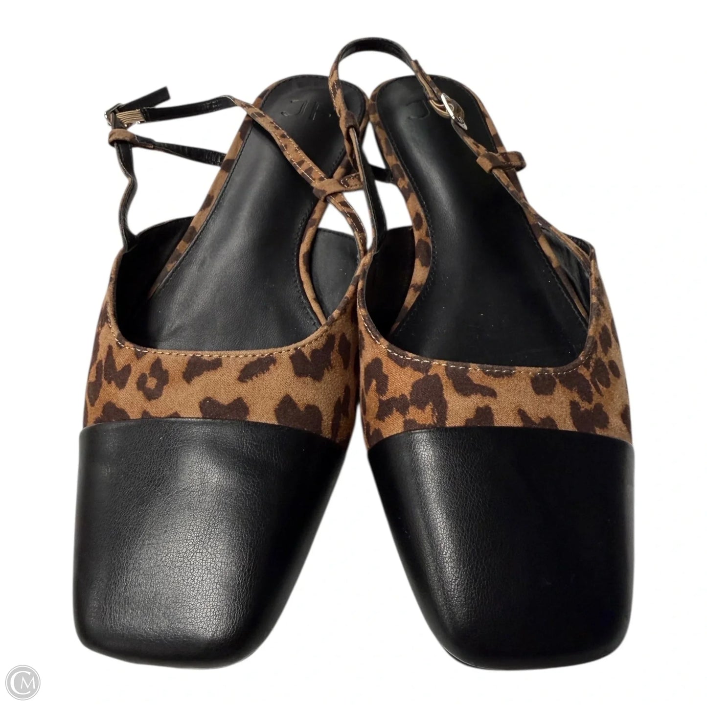 Shoes Flats By Jf In Animal Print, Size: 7.5