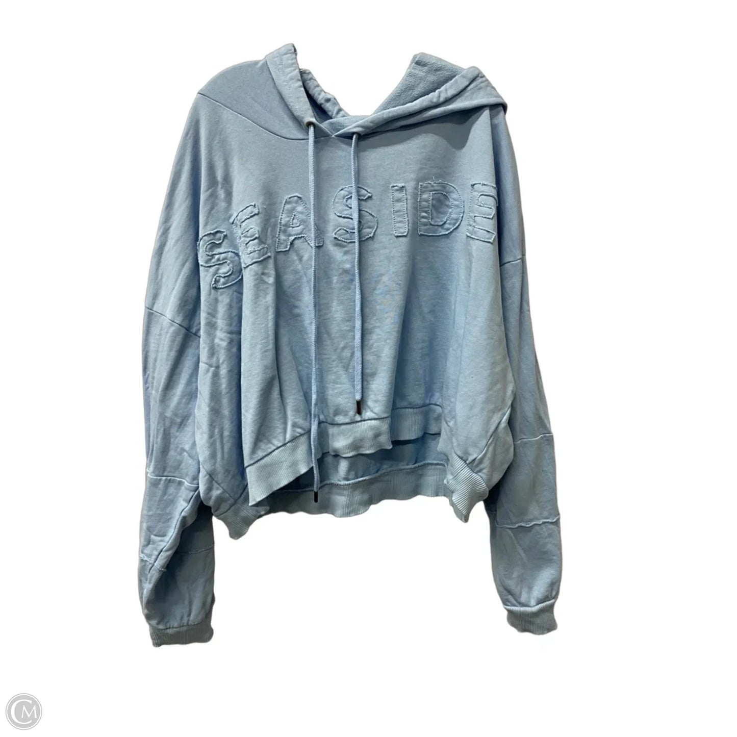Sweatshirt Hoodie By Pilcro In Blue, Size: Xl