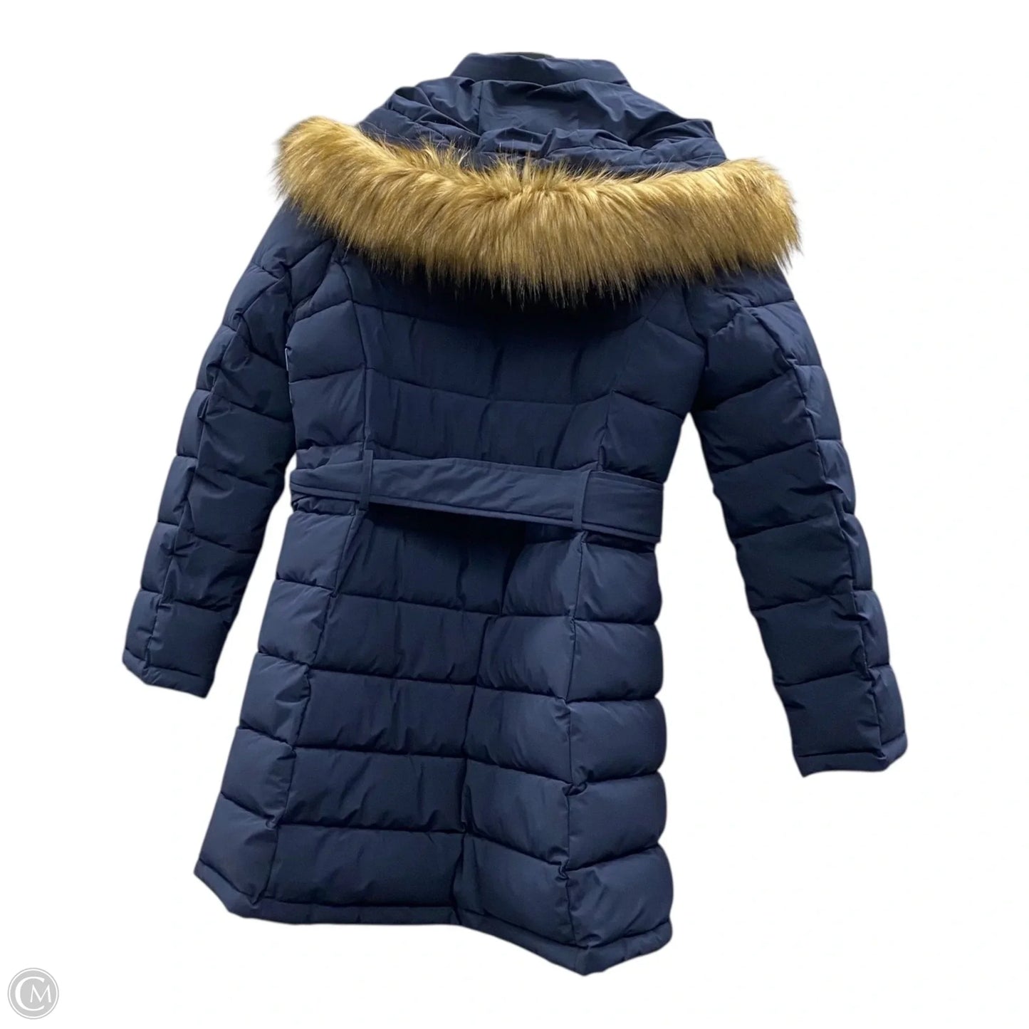 Coat Puffer & Quilted By Tommy Hilfiger In Navy, Size: M