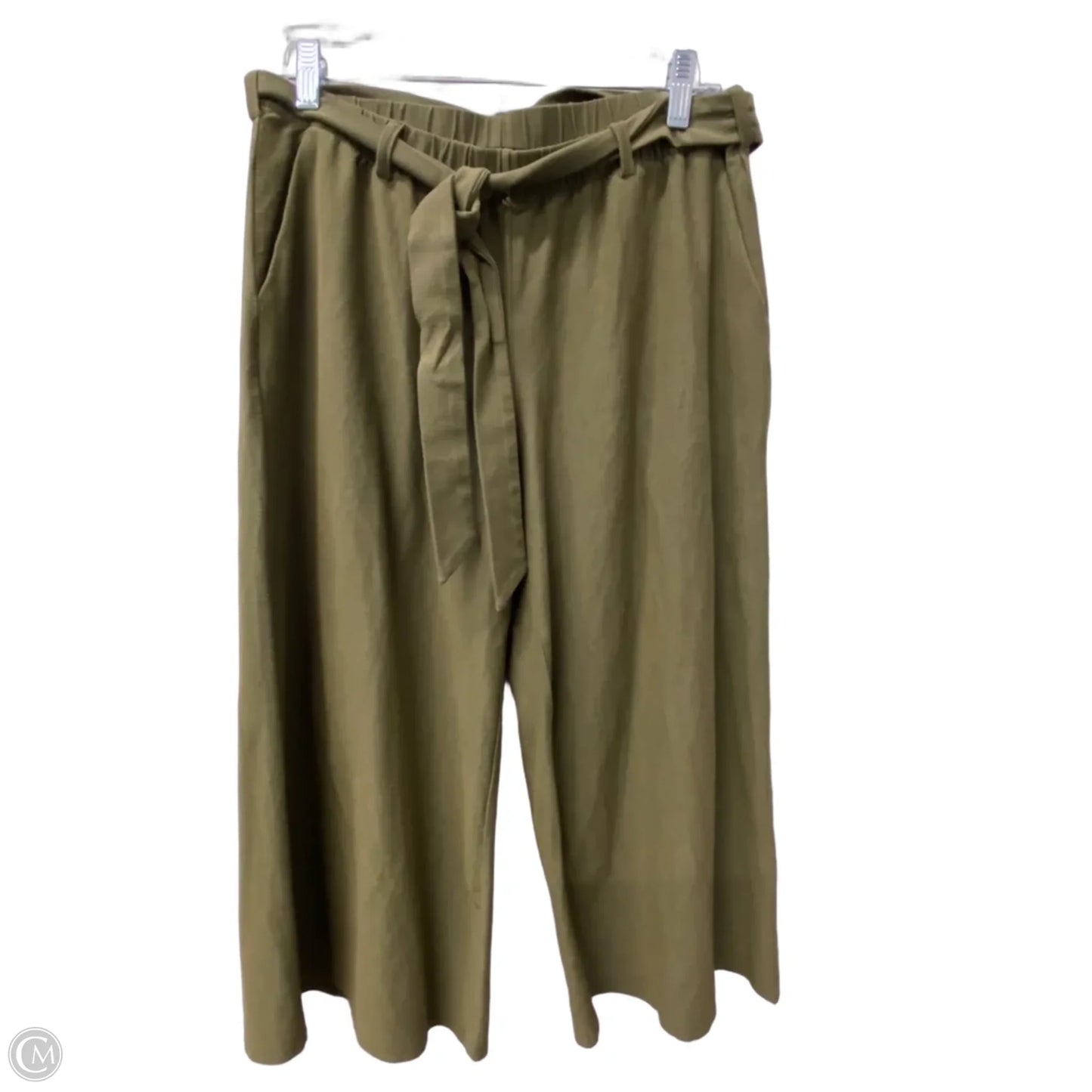 Capris By Eileen Fisher In Green, Size: 4