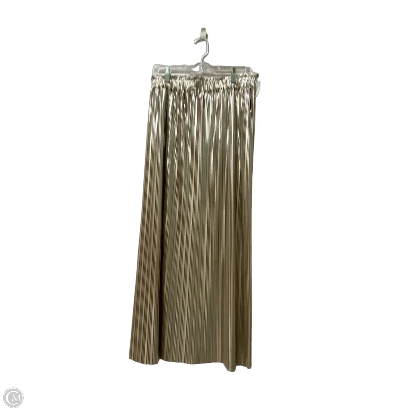 Skirt Maxi By Black Label In Gold, Size: M